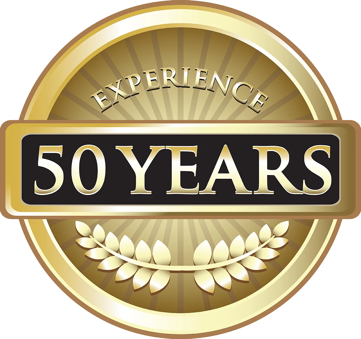 50 Years Experience In Tile Roof Roof Repairs